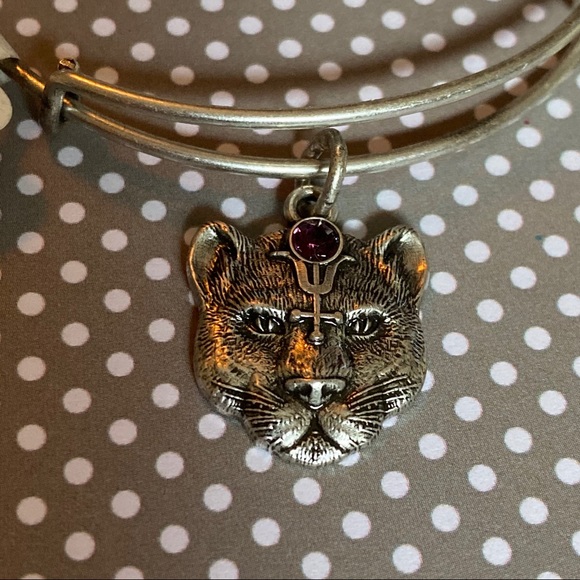 Alex and Ani Jewelry - Alex and Ani Silver Wild Heart II Bangle NWT